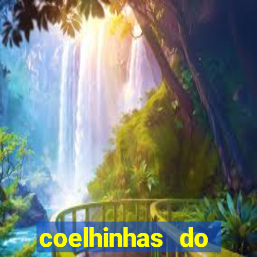 coelhinhas do brasil jp